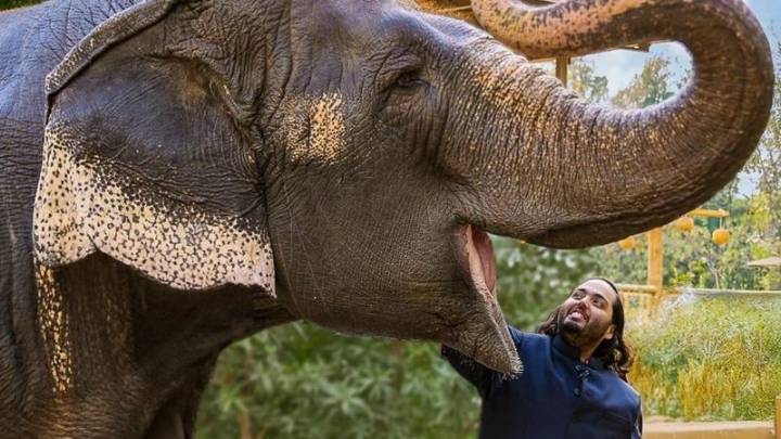 US President's son Donald Trump Jr visits Vantara wildlife centre in Gujarat