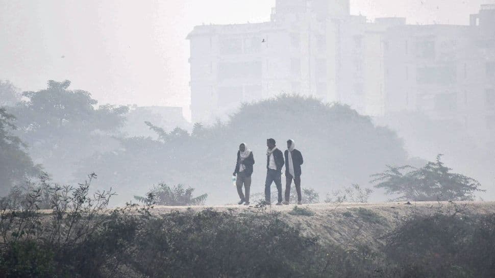 Cold Wave To Intensify In Bihar; Night Temperatures To Fall By 2