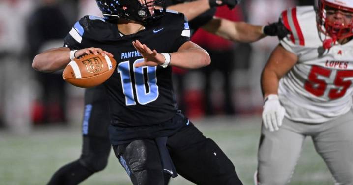 Week 15 Preview | Penn Cambria, Avonworth set for PIAA Class 3A semifinal rematch (WITH PICKS)