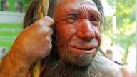 Neanderthals used to kiss early humans, scientists discover