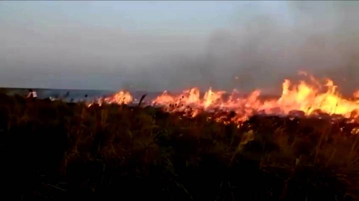 Hay 583 municipios en alerta roja de incendios por el fenómeno de El Niño
