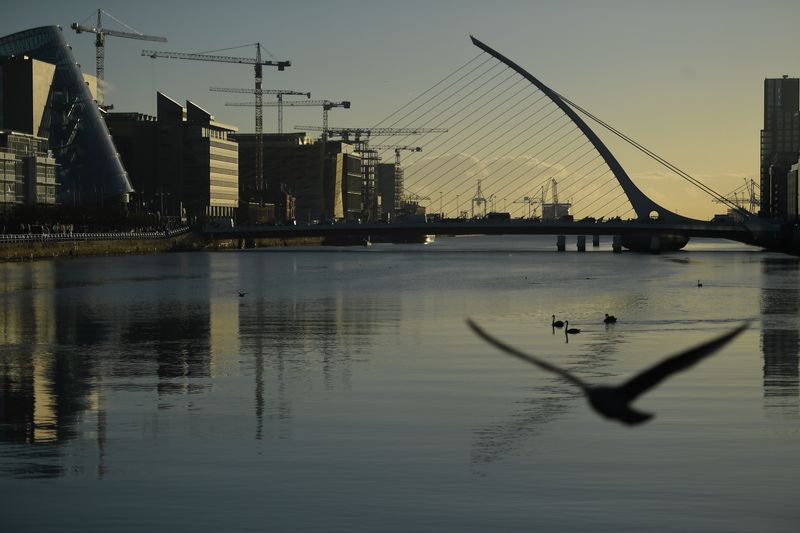 Irish corporate taxes to avoid tariff hit but risks rise, watchdog says