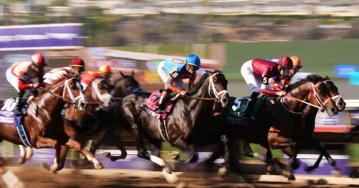 Forever Young wins the Breeders' Cup Classic over 2024 winner Sierra Leone
