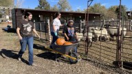 West Valley City farm wants your leftover holiday pumpkins
