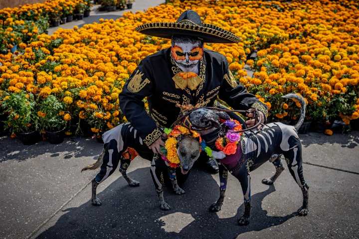Flores, cráneos y recuerdos: así conmemora México el Día de Muertos