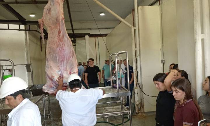 Se cumplió la segunda jornada provincial de formación destinada a operarios, carniceros y equipos de frigoríficos