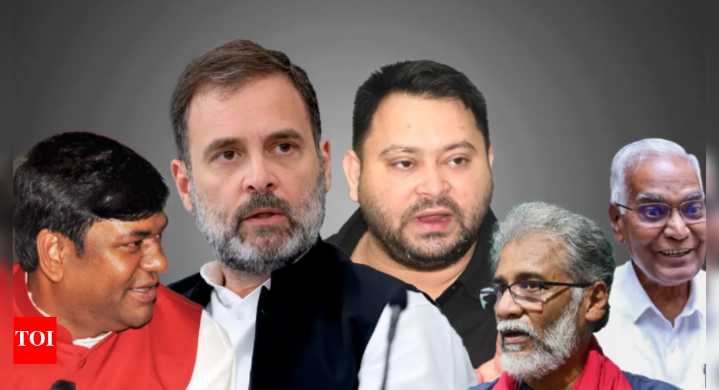 Bihar election results 2025: 5 reasons behind MGB's historic loss