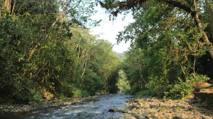 Metlác-Río Blanco; un Área Natural Protegida desde 2013