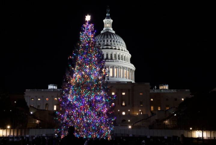 PHOTOS: US Capitol Christmas tree arrives