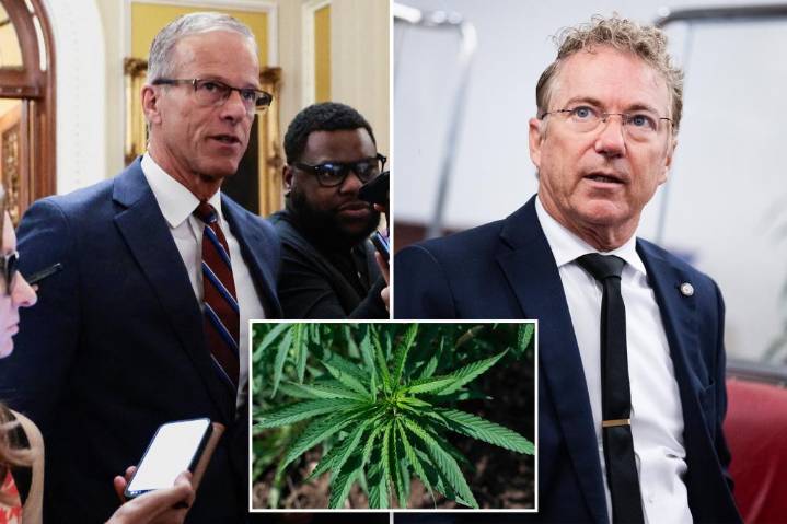 Proposed hemp ban tucked into federal funding bill could stall end to gov't shutdown