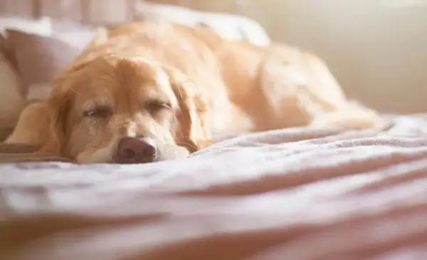 Sábado con probables chaparrones en La Plata: el tiempo para este finde