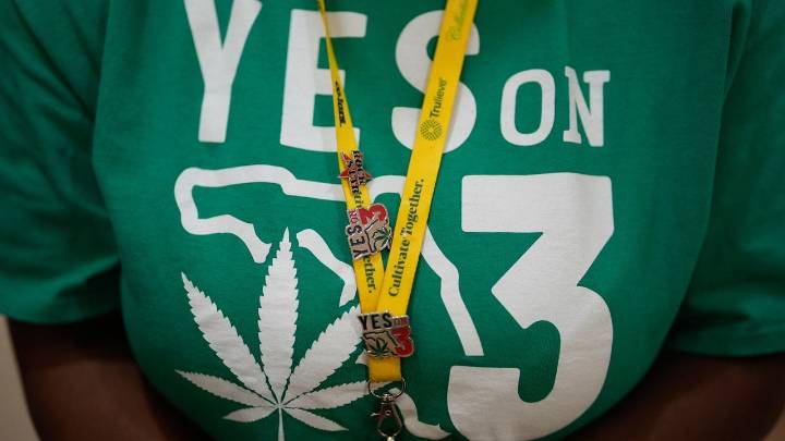 Campaign to legalize recreational marijuana takes DeSantis administration to state Supreme Court