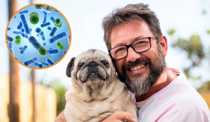 Estudio suizo revela: besar a un perro podría ser más higiénico que besar a un hombre con barba