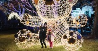 'A memory-making experience.' Wild Lights at the Detroit Zoo features more than 1 million lights