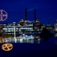 Bayer narrows loss, upbeat on weedkiller legal woes