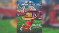 Strawberry Festival 2026: Music lineup, tickets and pricing, dates, theme