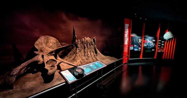 Photos: See inside the American Museum of Natural History's New Dinosaur Exhibition