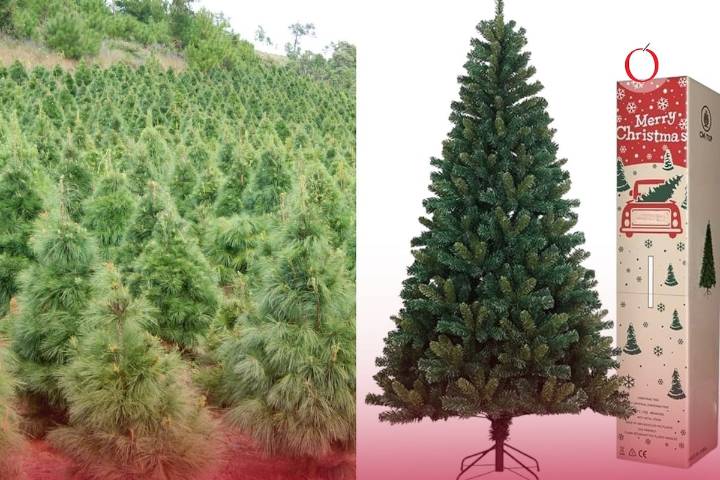 Pino natural o artificial; ¿Qué es mejor para el medio ambiente?
