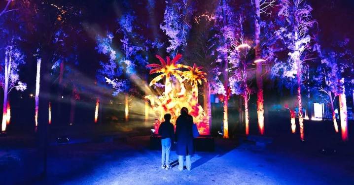 El Parque Grande estrena su Navidad más espectacular: luces, mercado gourmet y un viaje al Ártico
