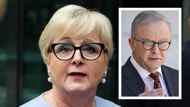 Anthony Albanese insists Brittany Higgins’ $2.4 million payout was not a ‘political’ decision