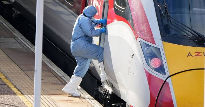 UK mass train stabbing: What we know about horrific attack