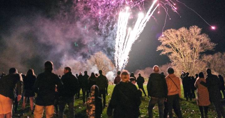 Yorkshire mum's bold message to 'selfish' people who keep using fireworks