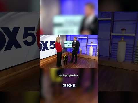 Future service dog Ovi visits Fox 5 DC