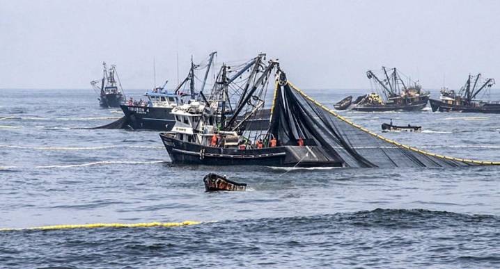 ¿Pesca en Áreas Naturales Protegidas? Inició último tramo del proceso que lo definiría