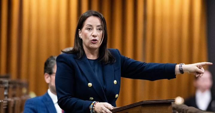 Canada budget: Conservative MP Stubbs defends missing vote after surgery