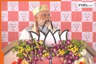 Bihar assembly election: PM Modi launches strong attack against RJD, Congress, says 'NDA stands for development, opposition represents destruction'