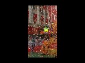 National Dog Show facts