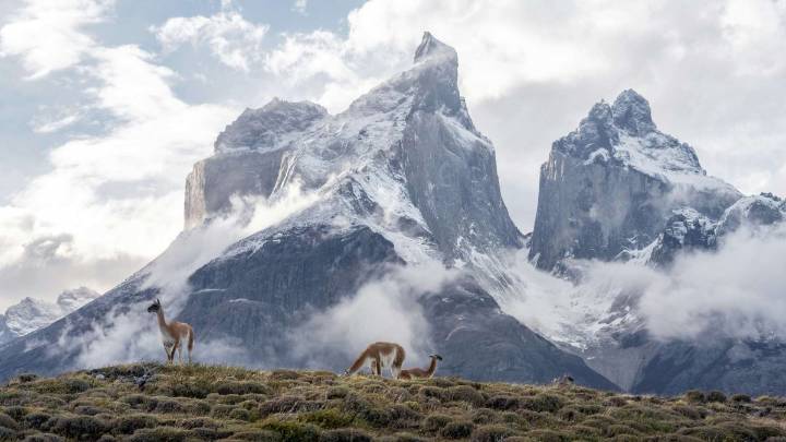 Emiten alerta meteorológica por lluvias en Torres del Paine: Se esperan hasta 38 mm de precipitaciones en zonas de Magallanes