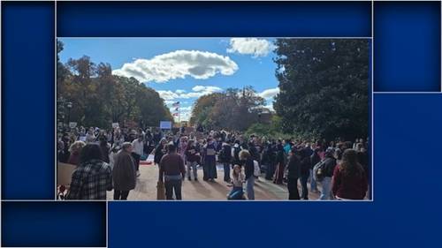 Meredith students walkout, joined by alumni to support professors : 'It's a breaking point'