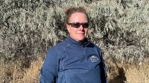 Kamloops, B.C., working to remove invasive Russian olive trees
