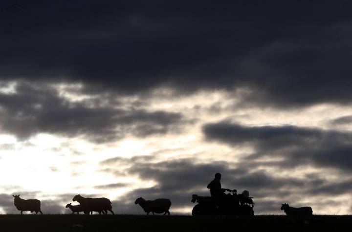 'I’m going to be the first in more than 100 years to sell anything off': How the upcoming budget uncertainty is impacting young farmers
