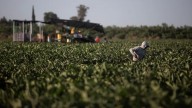 California court tosses Wonderful Company lawsuit over farmworker unionization law