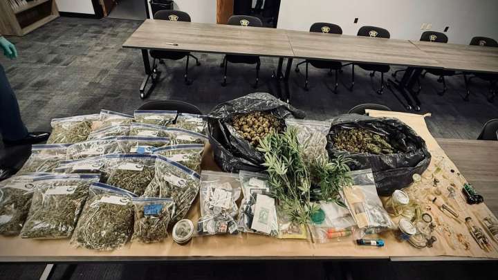 Tip leads Indiana State Police to marijuana growing operation