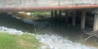 Sewage spill reported in Sugar Creek, Valdosta utilities says