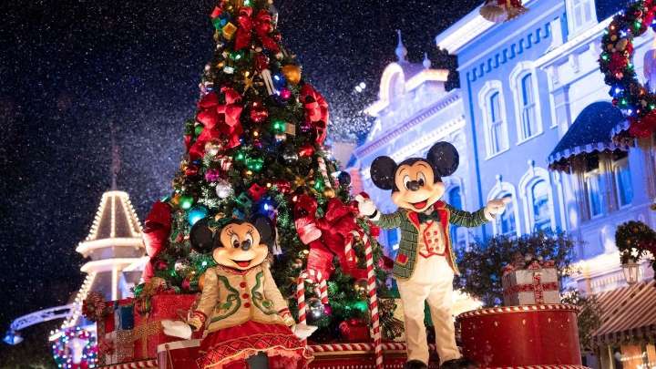 Disney Just Shared A Timeline Of How They Put Up That Giant Christmas Tree, And Yeah, It's Cool