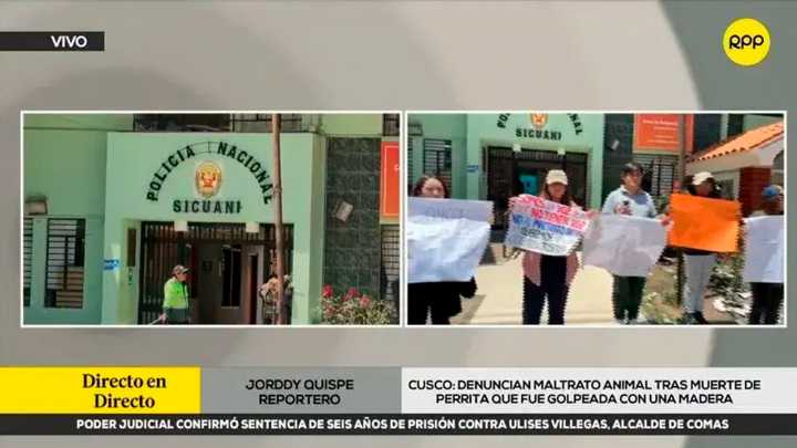 Indignación en Cusco: hombre mata a una perrita embarazada a golpes