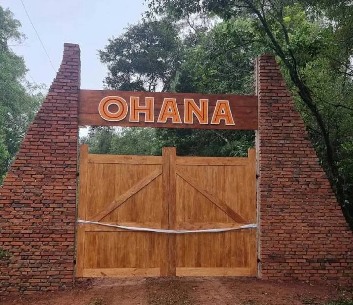 Misiones: Ohana supera los 860 rescates de fauna este año y alerta por el avance del mascotismo