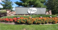 Pfizer COVID-19 vaccine sales plummet as government narrows recommendations
