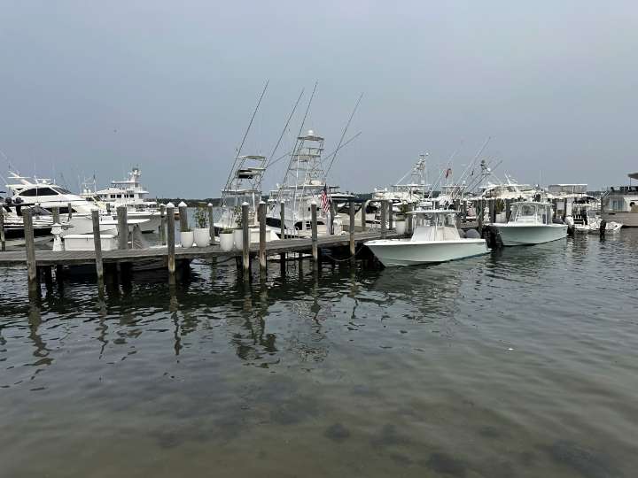 Martha Nolan-O’Slatarra case: Autopsy reveals fashion designer had cocaine in system