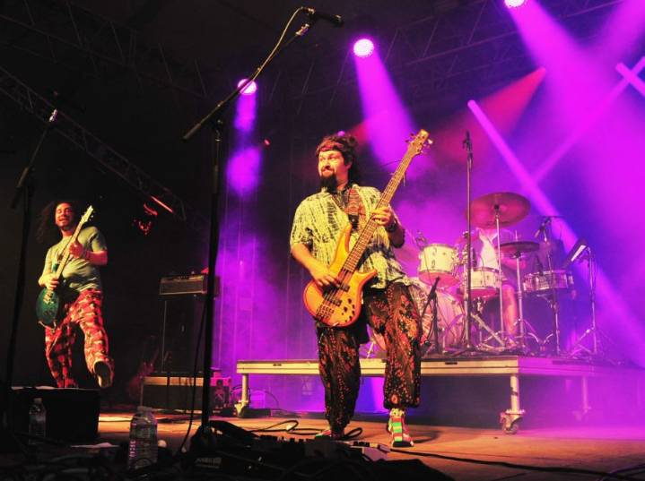 Pigeons Playing Ping Pong to perform in Albany