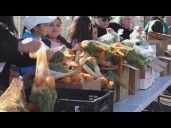 Over 1,200 families served at emergency food distribution at Yuba