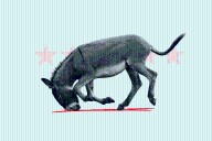 Democrats Keep Face Planting After Wins