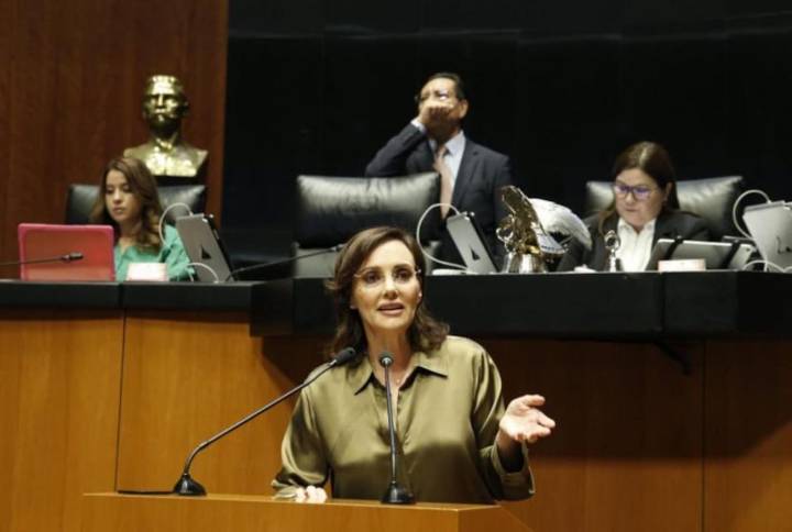 Lilly Téllez increpa a Gerardo Fernández Noroña durante sesión en el Senado: “idiota, imbécil y payaso”