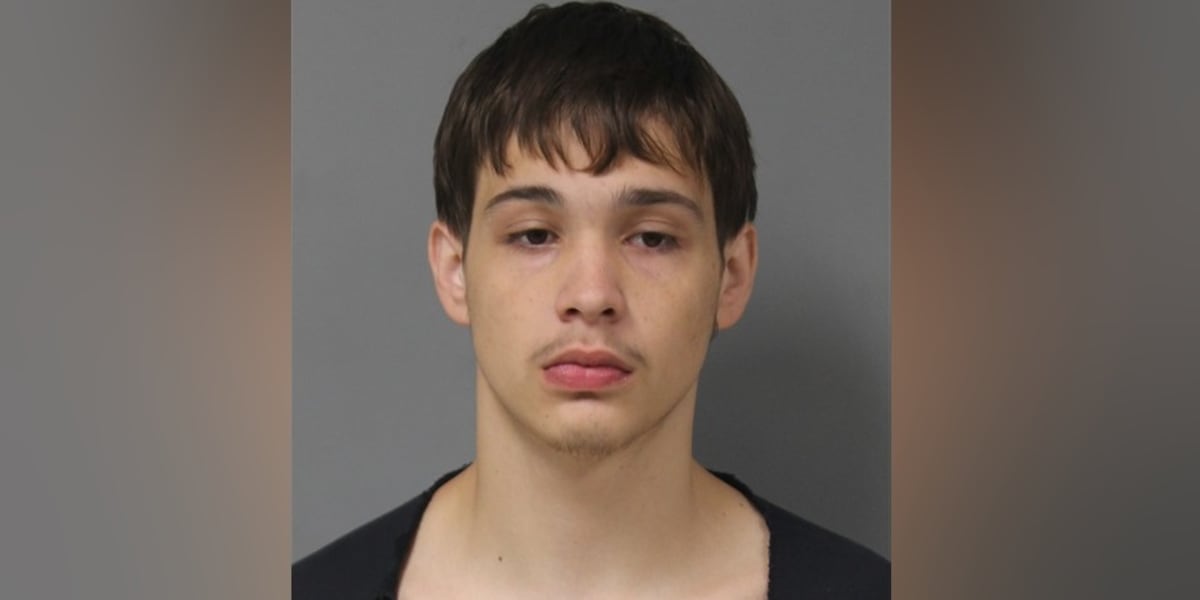 Mishawaka teen gets prison time for Berrien County road rage shooting