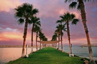 Festival de Los Cabos se adapta a narrativas y públicos nuevos