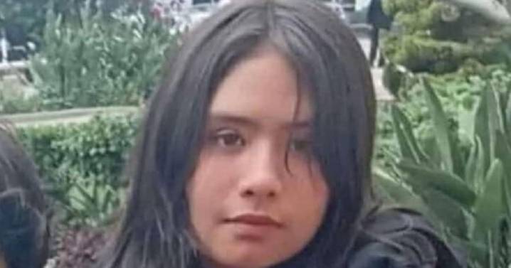 Localizan a Génezis; la menor que estaba bajo el resguardo del DIF